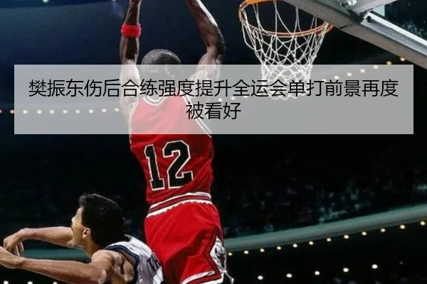 樊振东伤后合练强度提升全运会单打前景再度被看好